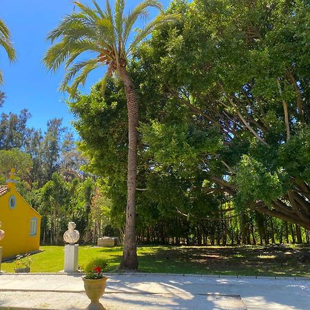 Cortijo La Saleta Banus Daire Marbella Dış mekan fotoğraf