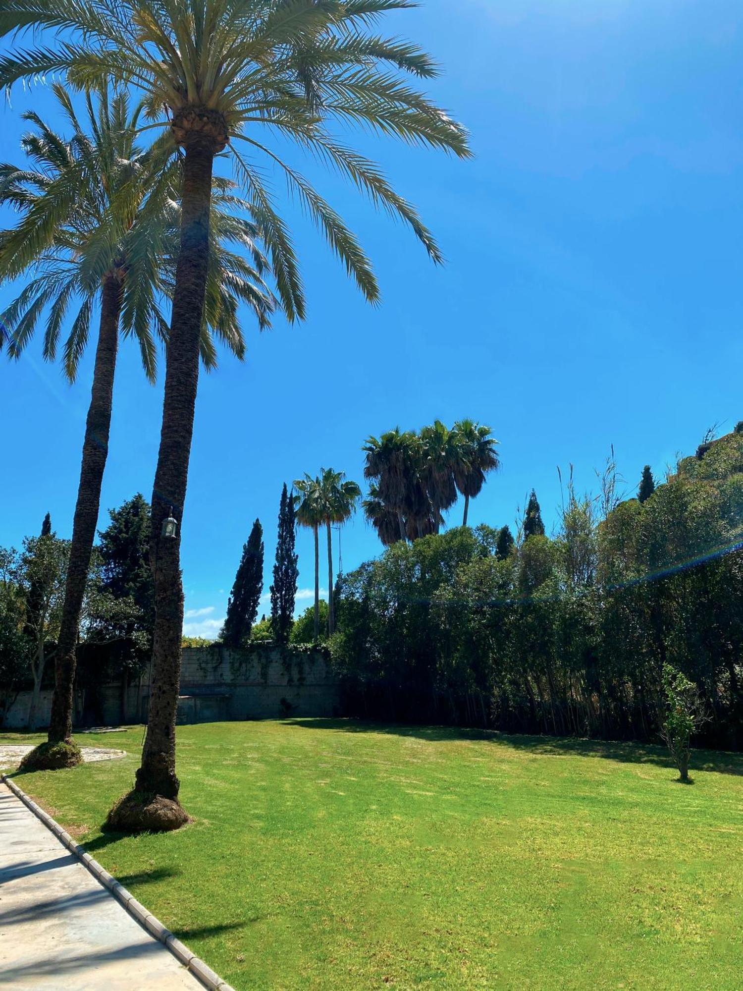 Cortijo La Saleta Banus Daire Marbella Dış mekan fotoğraf
