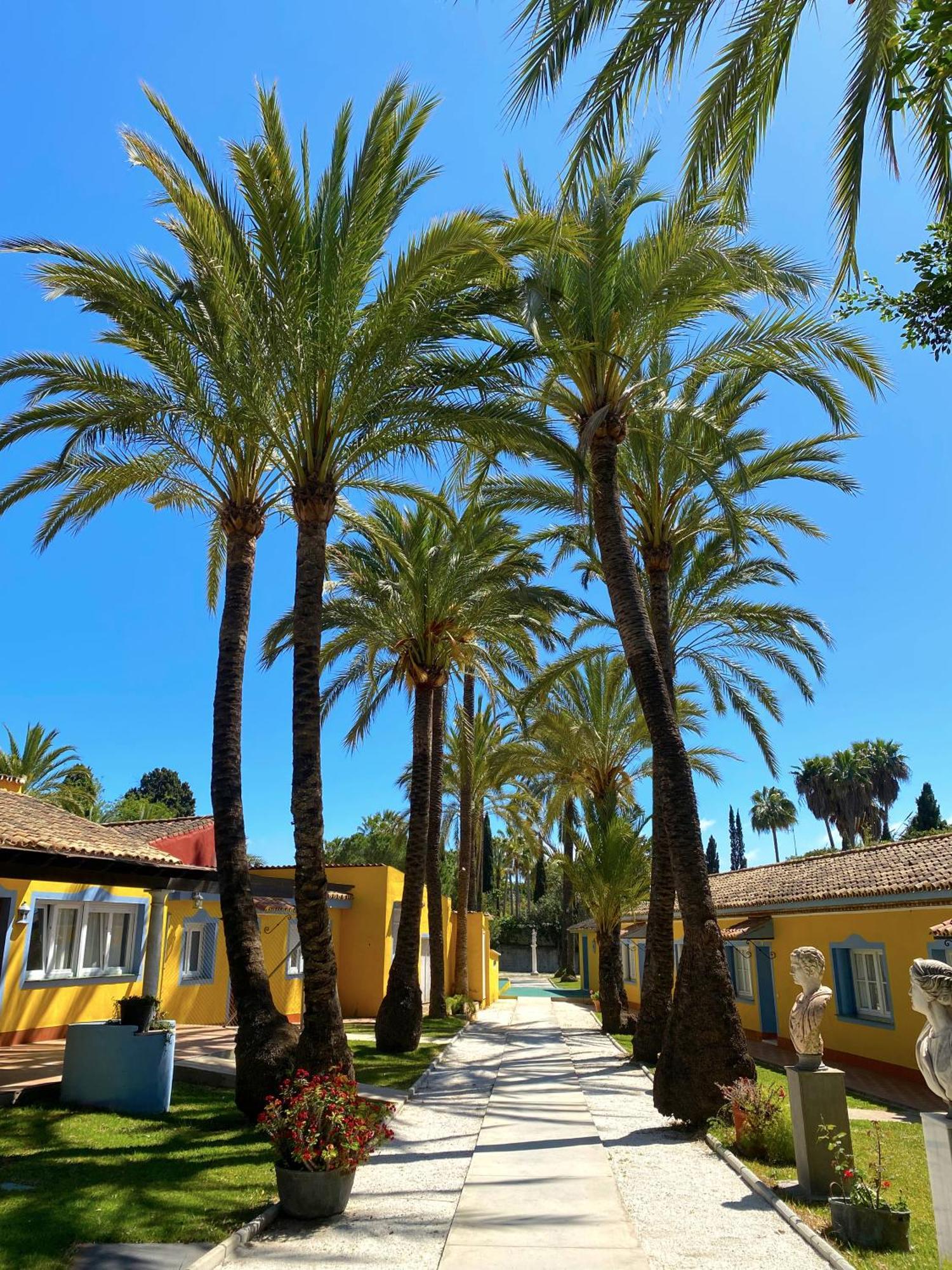 Cortijo La Saleta Banus Daire Marbella Dış mekan fotoğraf