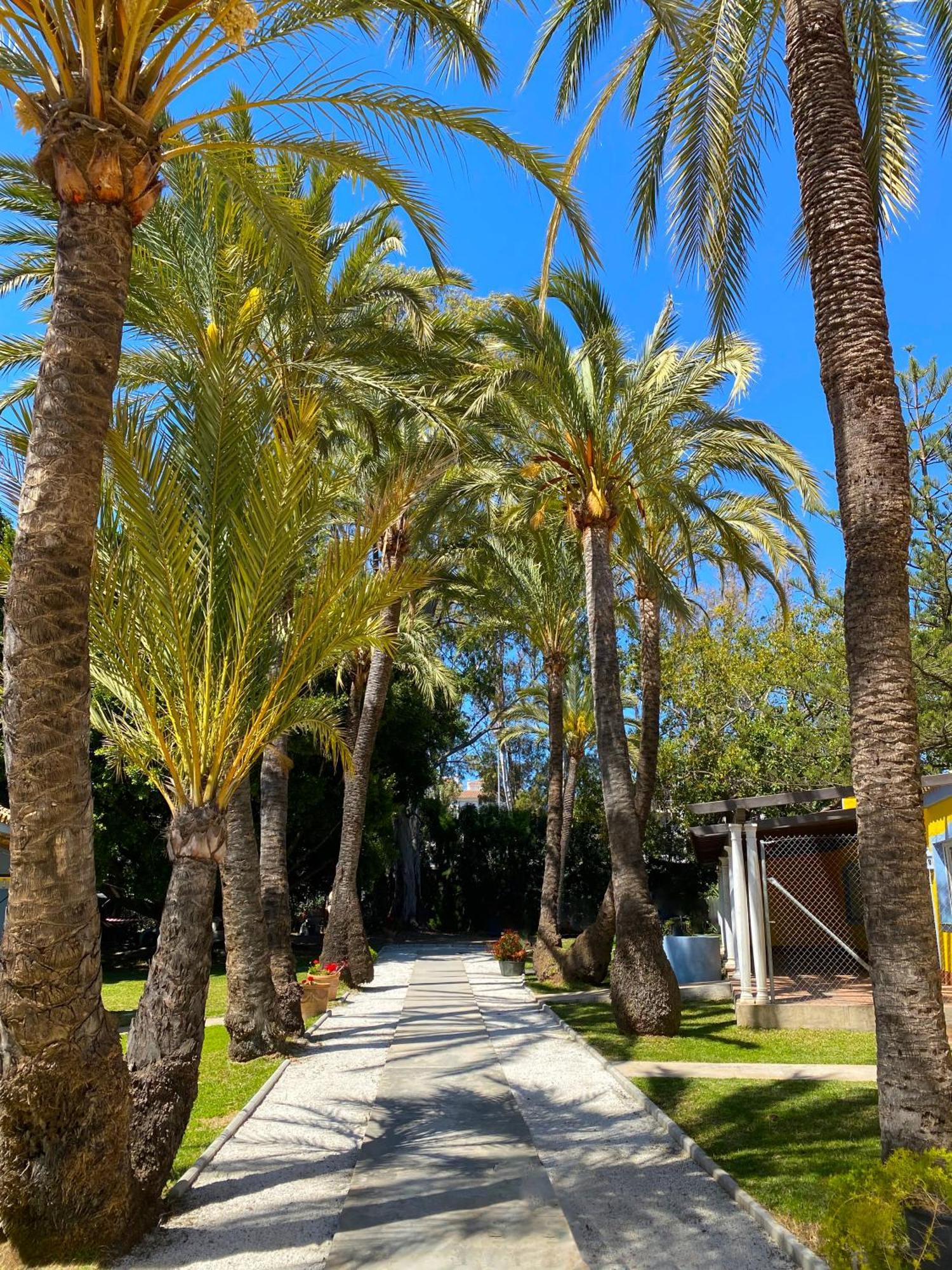 Cortijo La Saleta Banus Daire Marbella Dış mekan fotoğraf